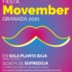 FIESTA MOVEMBER (SESION DJ ) (11.11.21) Planta Baja
