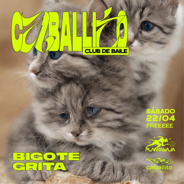 Caballito Club de Baile (22/04/23) Planta Baja