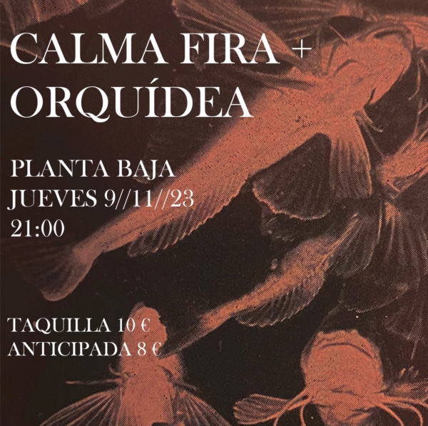 CALMA FIRA + ORQUIDEA (09.11.23) Planta Baja