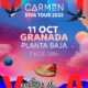 Carmen 113 (11.10.25) Planta Baja