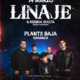 Linaje + Rienda Suelta (14.03.26) Planta Baja